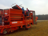 2009-09 kartoffelernte01