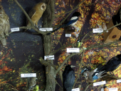 Klassenfahrt Neudorf13