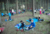 picknick im wald