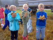 2009-09 kartoffelernte02