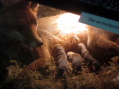 Klassenfahrt Neudorf11