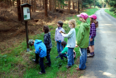 Am Anfang vom Naturlehrpfad