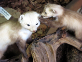 Klassenfahrt Neudorf14